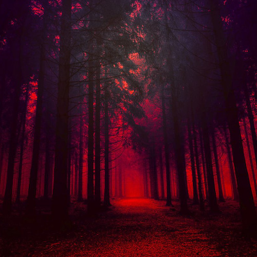 [𝐁𝐄𝐇𝐄𝐀𝐃𝐄𝐑] - Twisted  Dark Techno Mix