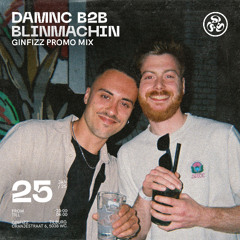 DAMNC B2B BLINMACHIN - GINFIZZ PROMO MIX