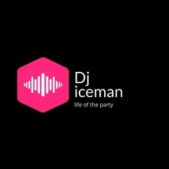 DJ ICEMAN Life Of The Party
