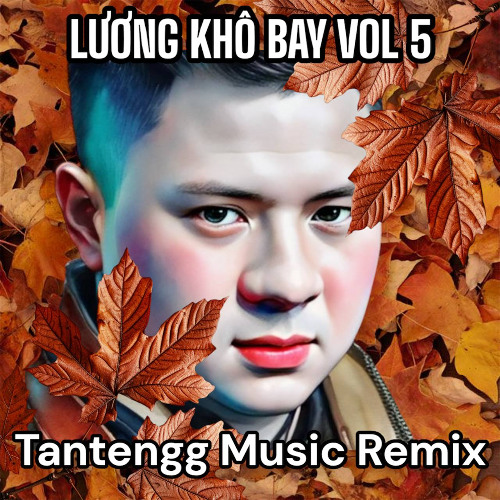 VIỆT MIX LƯƠNG KHÔ BAY 5 - VIP Đi Cảnh - Êm Từ Đầu Tới Cuối 2025