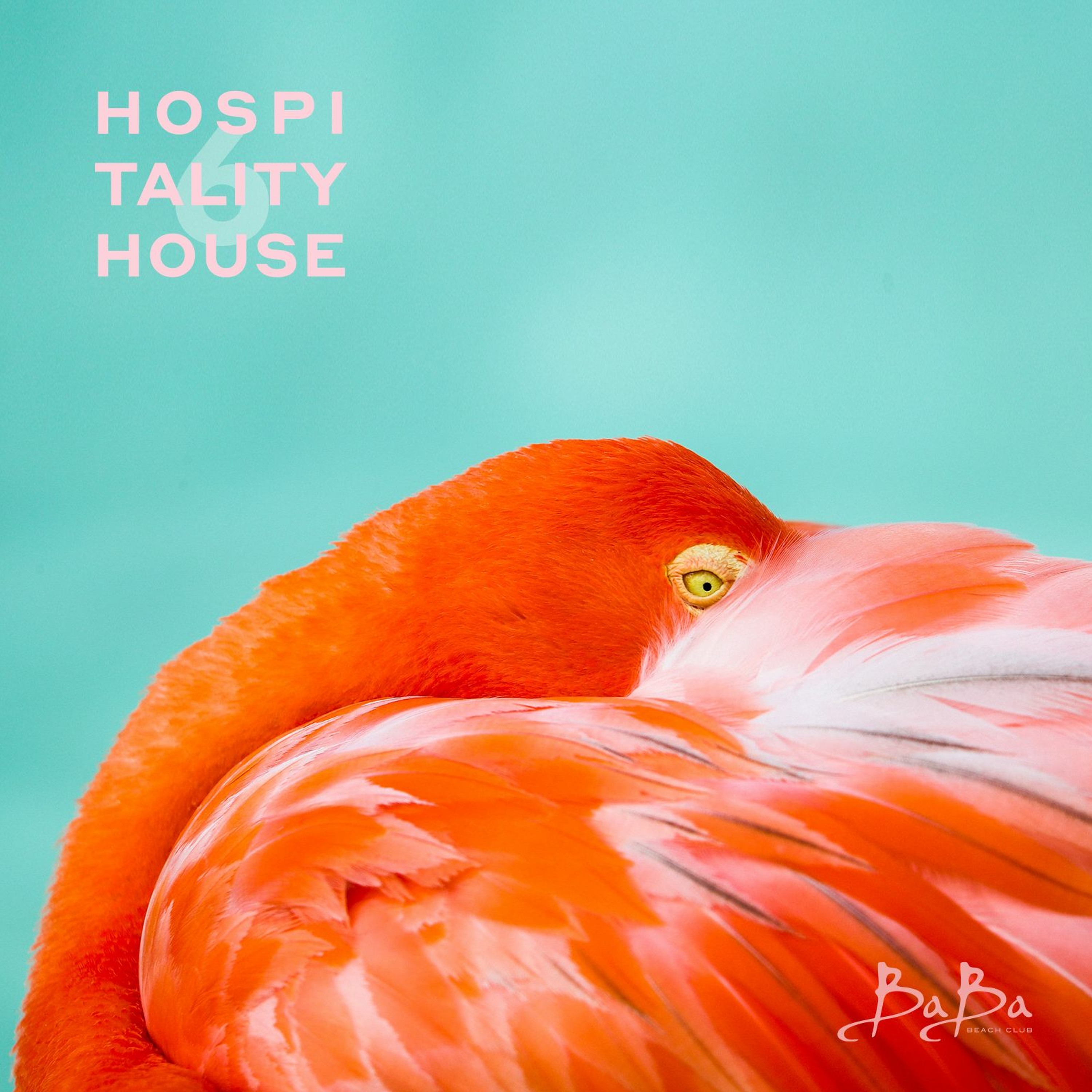 Music from Baba Beach Club