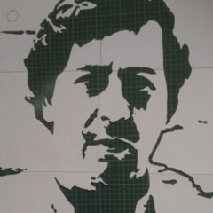 What I Like (OzzyFlaco)(Dsavage2700)