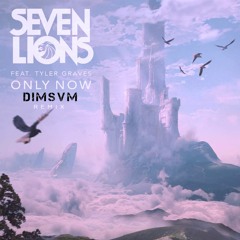 Seven Lions - Only Now (DIMSVM Bootleg)
