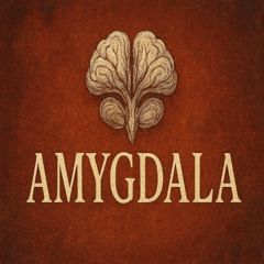 Amygdala