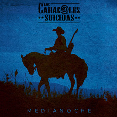 Country Music in Spanish