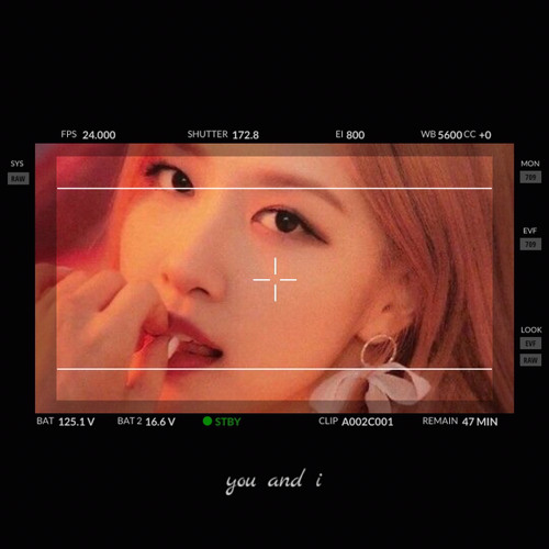 𝗬𝗼𝘂 𝗔𝗻𝗱 𝗜 - 𝗥𝗼𝘀𝗲́ (𝗕𝗹𝗮𝗰𝗸𝗽𝗶𝗻𝗸)