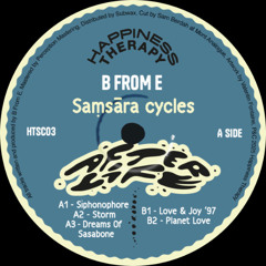 B from E ─ Siphononophore [HTSC03]