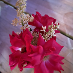 Fill The Love by Daneeca