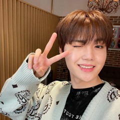 Darari Rock Ver- Treasure