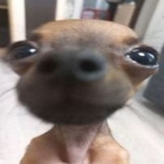 Stab Placerstar X Mikshapp X Lostside