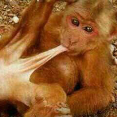 Mischkonsum 21.01.m4a