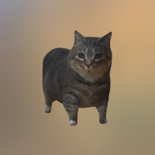 OIIAIOIIIAI (spinning cat meme) Remix