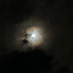 Lash Out (prod. SXINT)