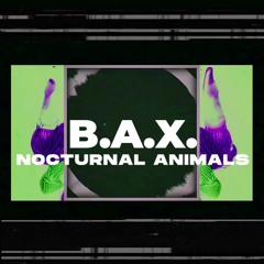 Nocturnal Animals - featuring B.A.X. (HCMC, Vietnam)