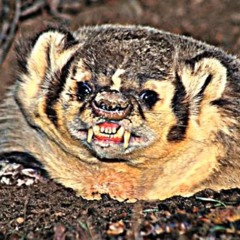 HOVERCRAFTS RULE! HOVERCRAFT DEMONSTRATION!!!