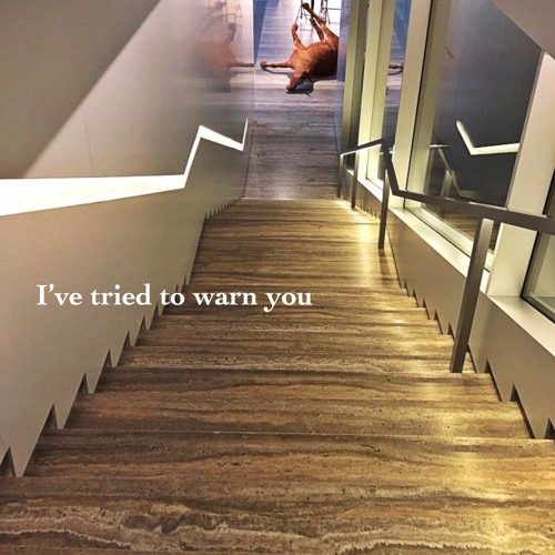 I've Tried To Warn You (ft. Madam Snowflake)