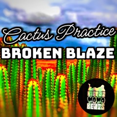 Catctus Practice - Broken Blaze EP Teaser ★OUT NOW★ [BFMB047]