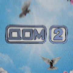 ДОМ 2