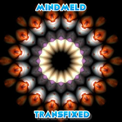 MINDMELD - TRANSFIXED
