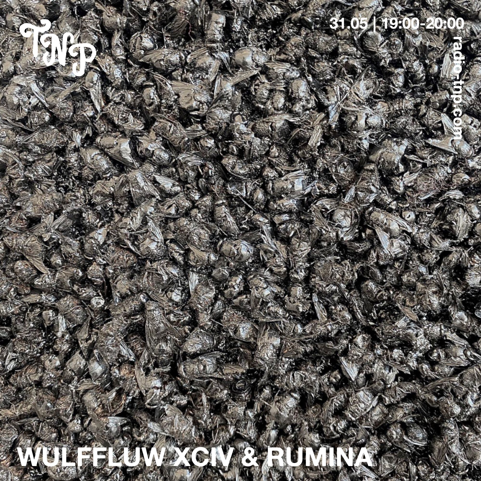 WULFFLUW XCIV w/ Rumina