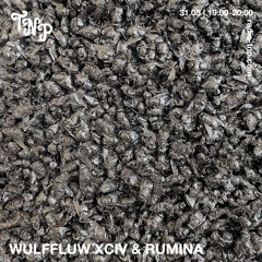 WULFFLUW XCIV w/ Rumina @ Radio TNP 31.05.2025
