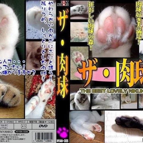 talktalktalk +neohn (@2aja)