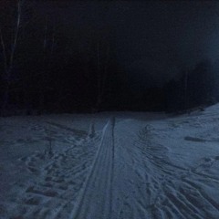 Беги и прячься