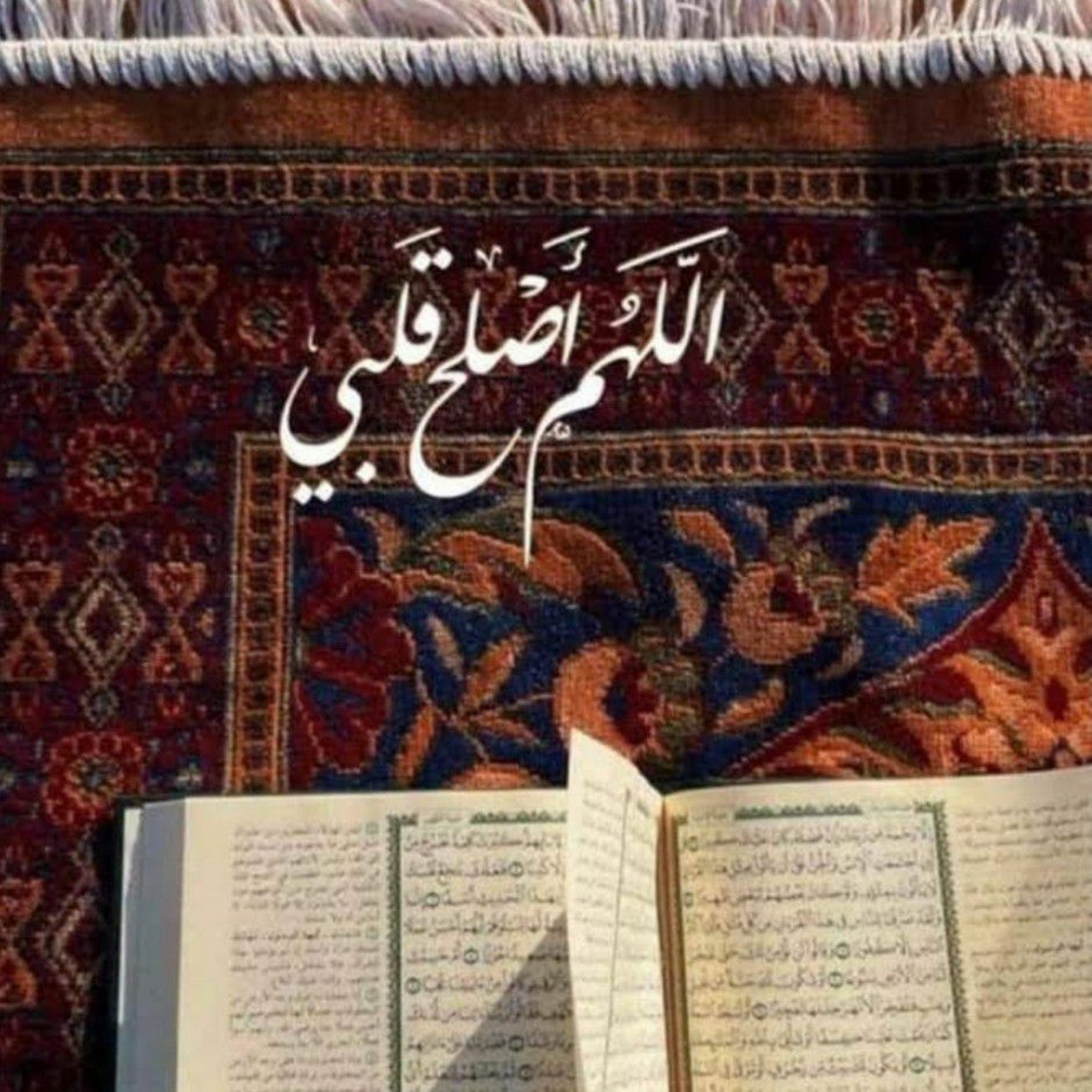 عليل ياربي وأنت الطبيب _ إنشاد فارس حميدة (192 kbps).mp3
