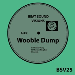 BSV25 - Alez - Amida (Original Mix) -> SNIPPET