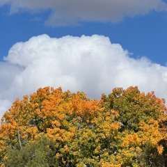 something to take the edge off