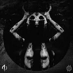 11:11 - Linw / history acid