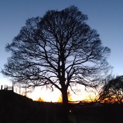 Yellow Rose of Texas.m4a