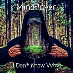 Mindflayer - I Don`t Know Why (Mix)