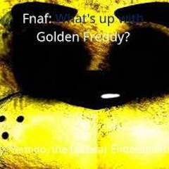 your first night