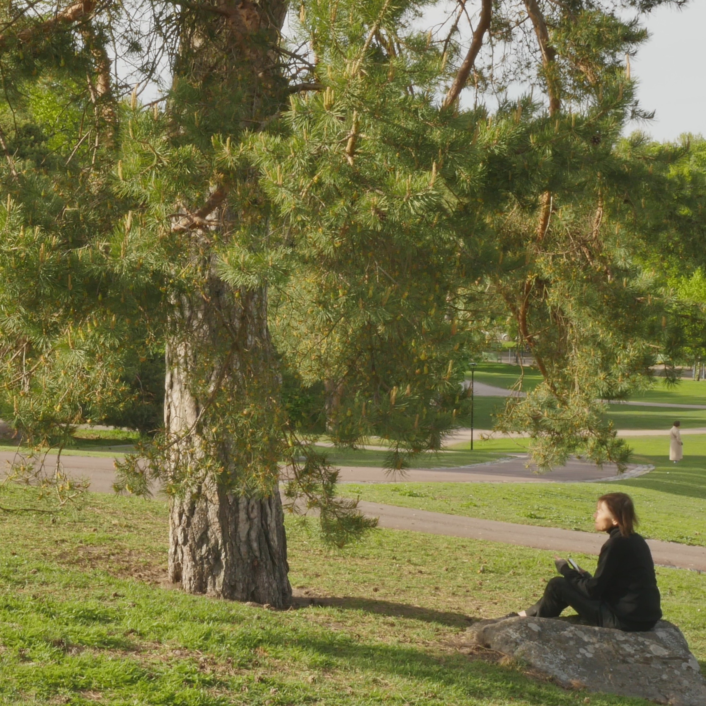Pondering With A Pine In The Park - 10 episode artwork