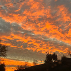 Marou (midi instrumental version)