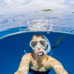 Deep Dive Exploration into the Felt Sense Focusing Attunement