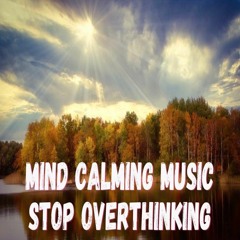 Calm The Mind And Take Control Of Your Day MIND CALMING MUSIC Stop Overactive Mind