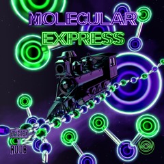 TINK X ROOB - Molecular Express
