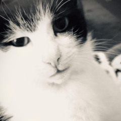 Mystic Freya - BeatsByIziboy - 1