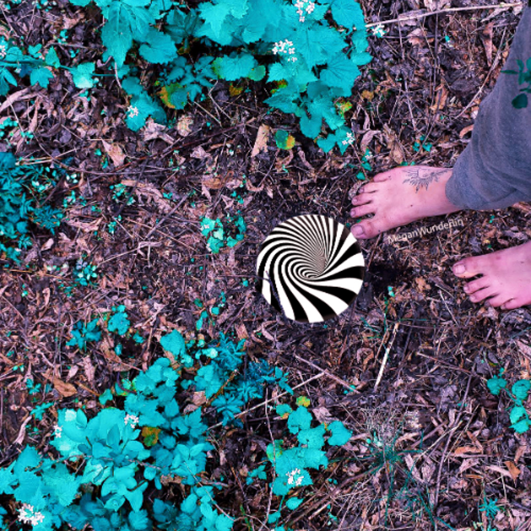 Stream Project_400 by Megan Wunderlin | Listen online for free on ...