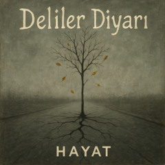 Son Bir Nefes