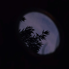 08.09