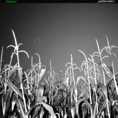 halcion (Woody Edit)