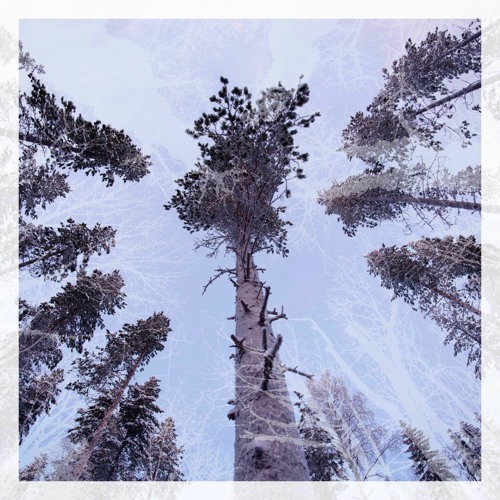 We Dream of Eden - I See You in Light