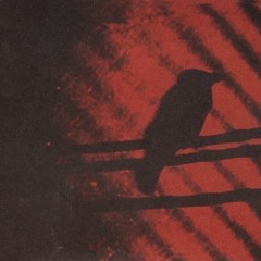 Sim - Crow