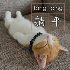 Cat Type Beat
