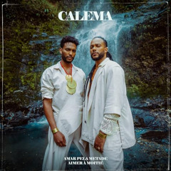 Calema - Amar Pela Metade (FLOWSTIK BOOTLEG) "Free Download"