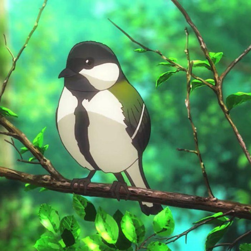 a birds song (ballad)