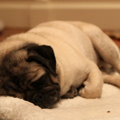 Many song go brrrrrr